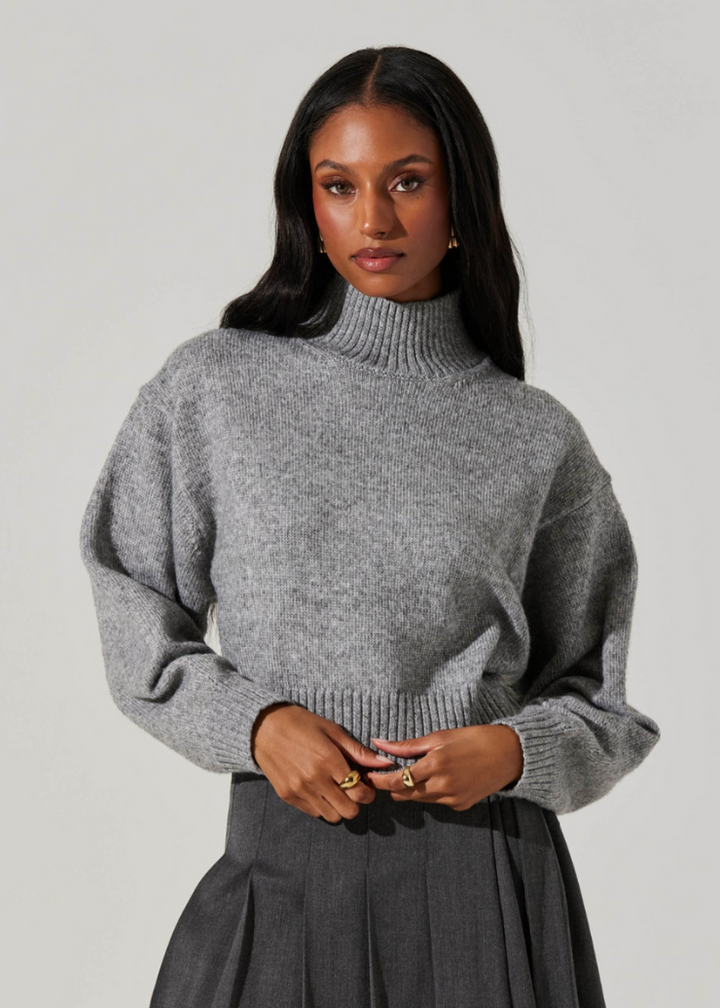 Astr Fiala Mock Neck Sweater