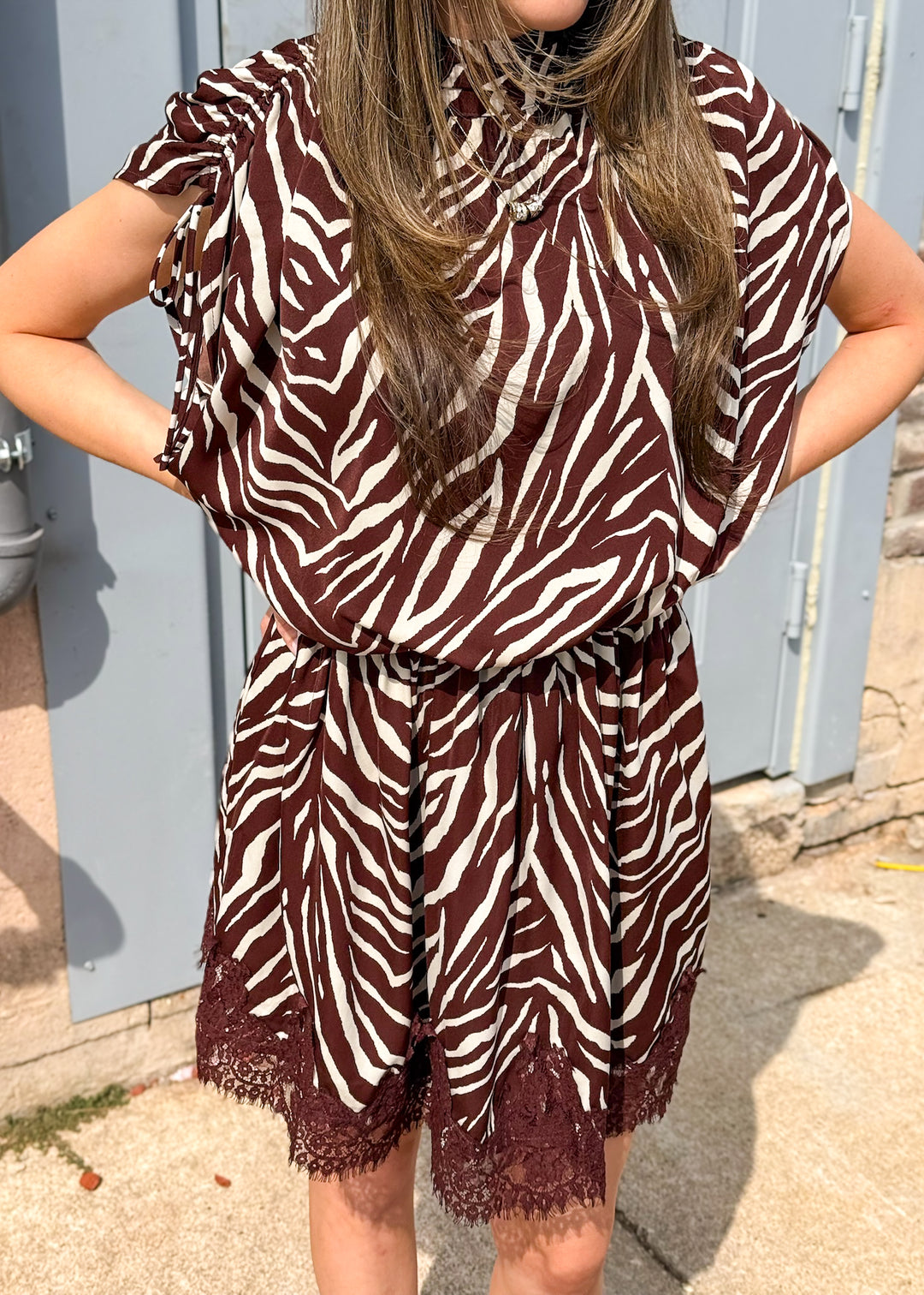 Camila Zebra Print Lace Mini Dress