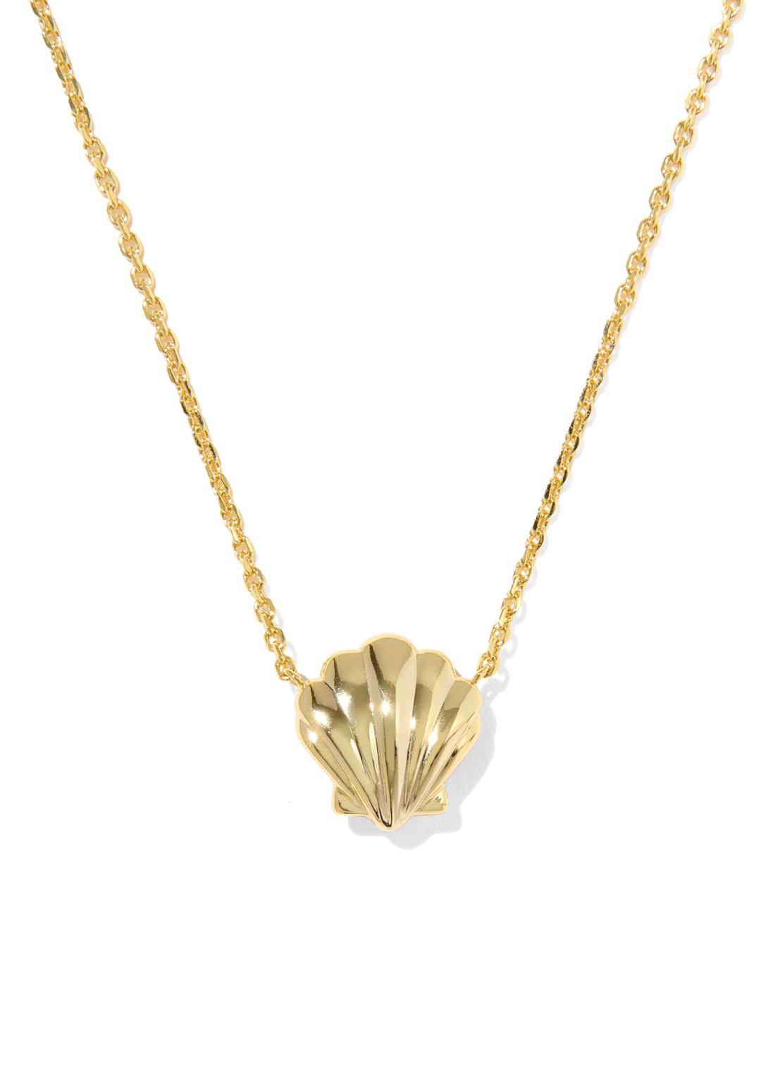 Gold necklace with a gold shell shaped pendant on a white background