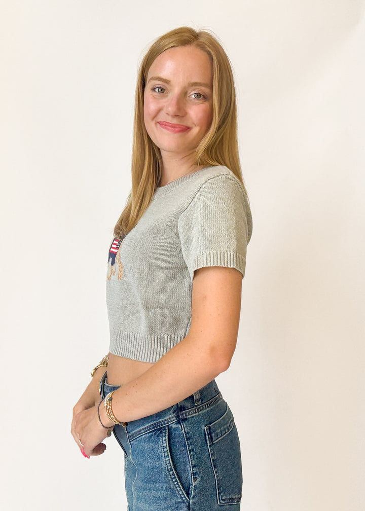Teddy Flag Sweater Tee