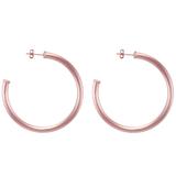 Small Everybody's Favorite Hoop Earrings